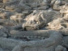 Beijing, Temple of Confucius