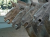 Terracotta Army
