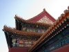 thumbs_dsc_2184